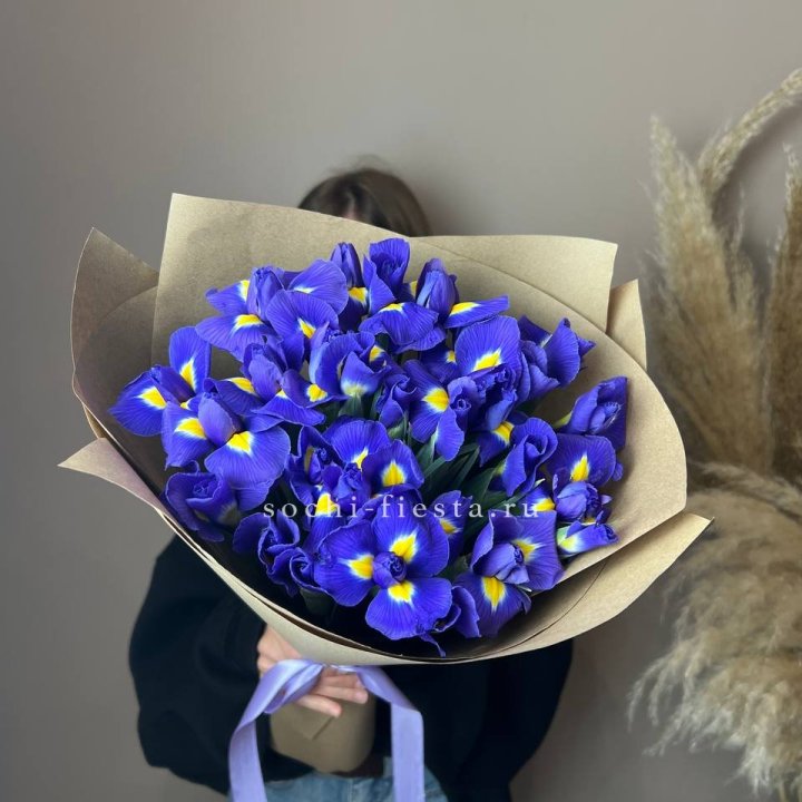 Ирисы в Иваново