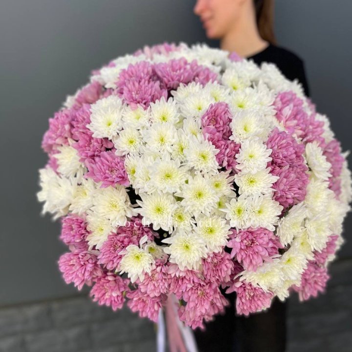  Букет 25 хризантем микс в Иваново