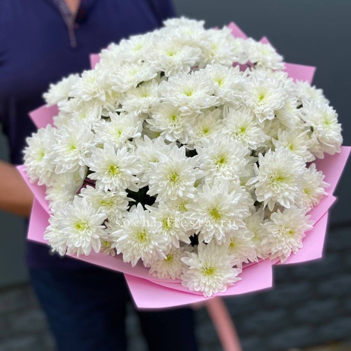  Букет 15 хризантем  в Иваново