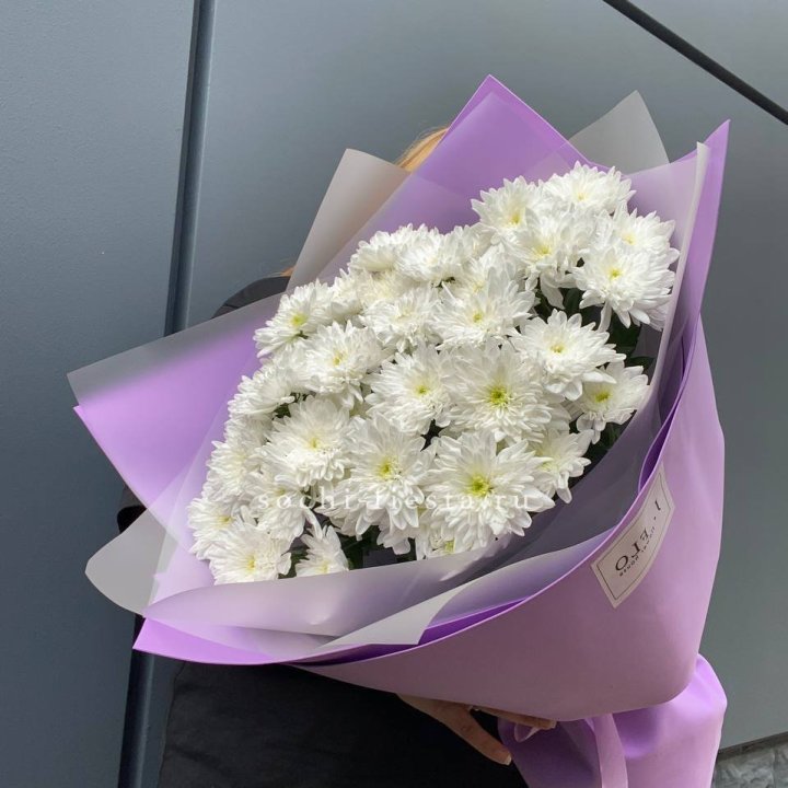  7 хризантем  в Иваново