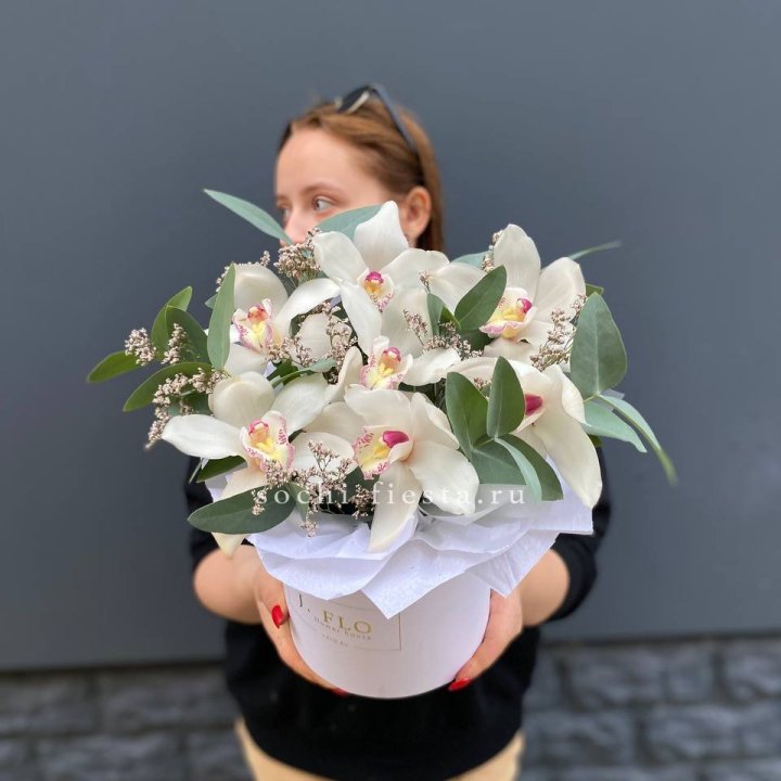 7 орхидей в боксе в Иваново