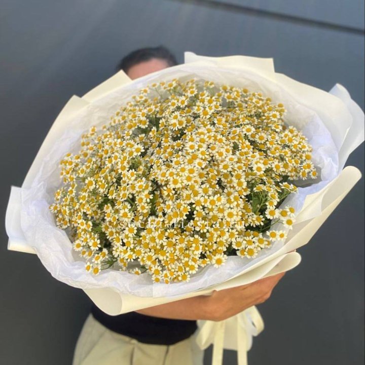 Букет ромашек №2 в Иваново