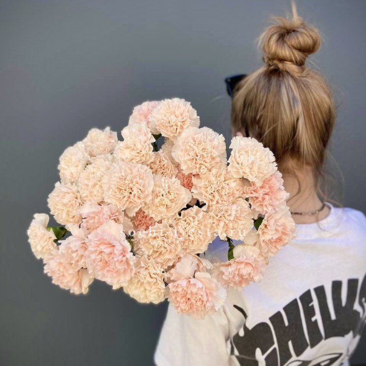 Охапка диантусов  в Иваново