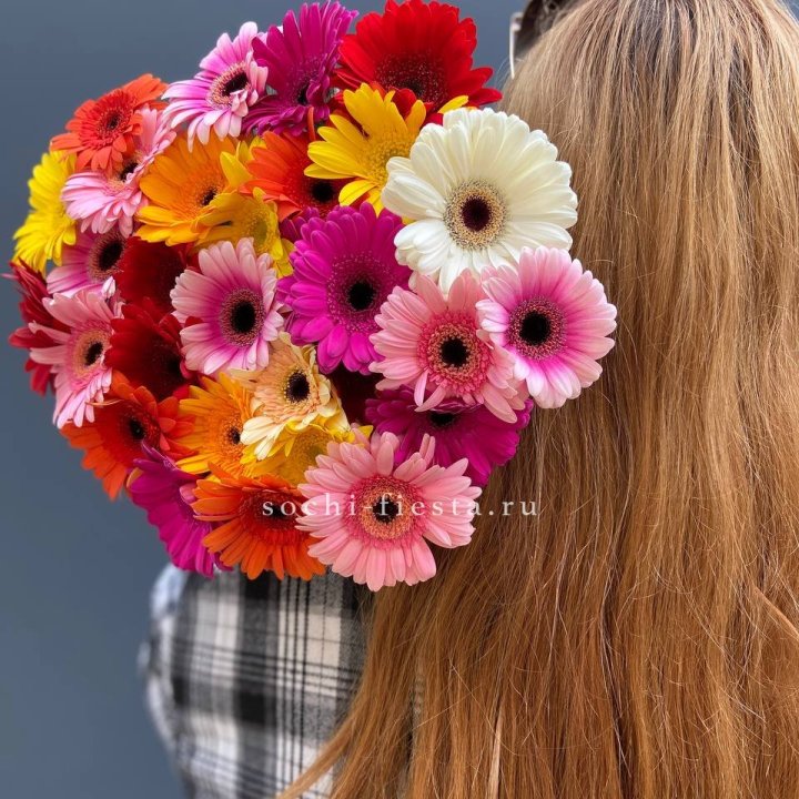 Охапка гербер  в Иваново