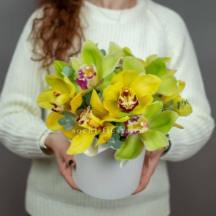 Бокс с орхидей №1 в Иваново