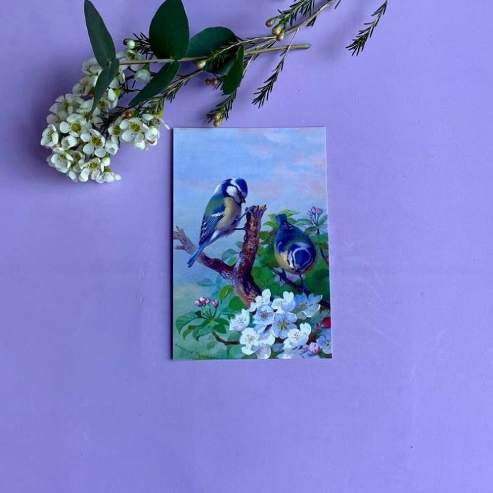 Открытка к букету "Птицы" в Иваново