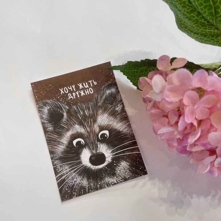 Открытка к букету "Енотик" в Иваново