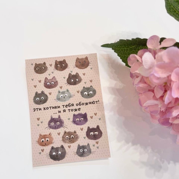 Открытка к букету "Котики" в Иваново