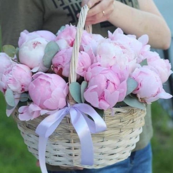 15 пионов в корзине в Иваново