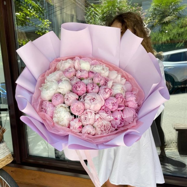 51 розовый пион в Иваново