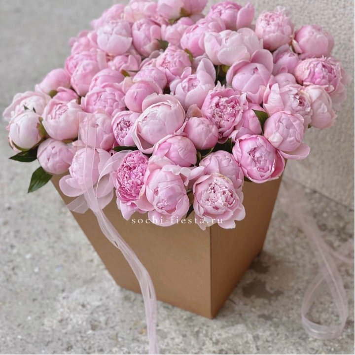 49 пионов в крафт коробке в Иваново