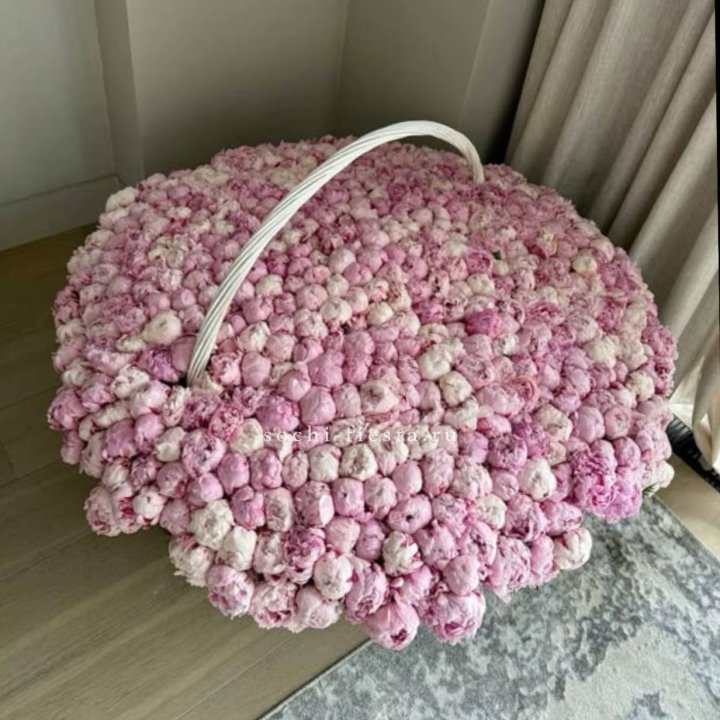 Корзина 555 пионов в Иваново