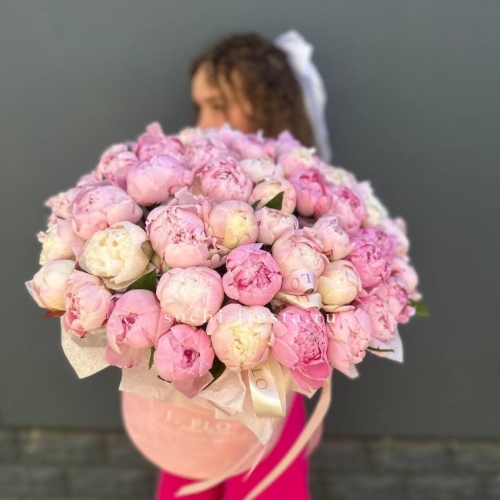 51 нежных пионов  в цилиндре в Иваново