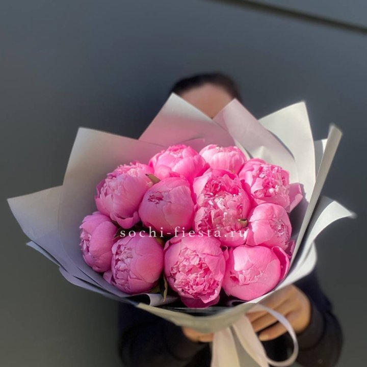 Пионы Алекс флеминг в Иваново