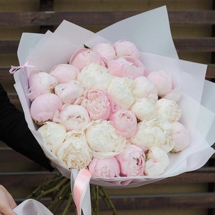 29 пионов в Иваново