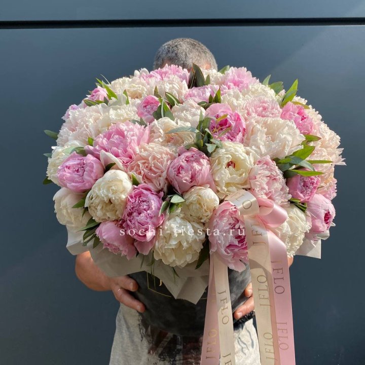 51 пионов в боксе в Иваново