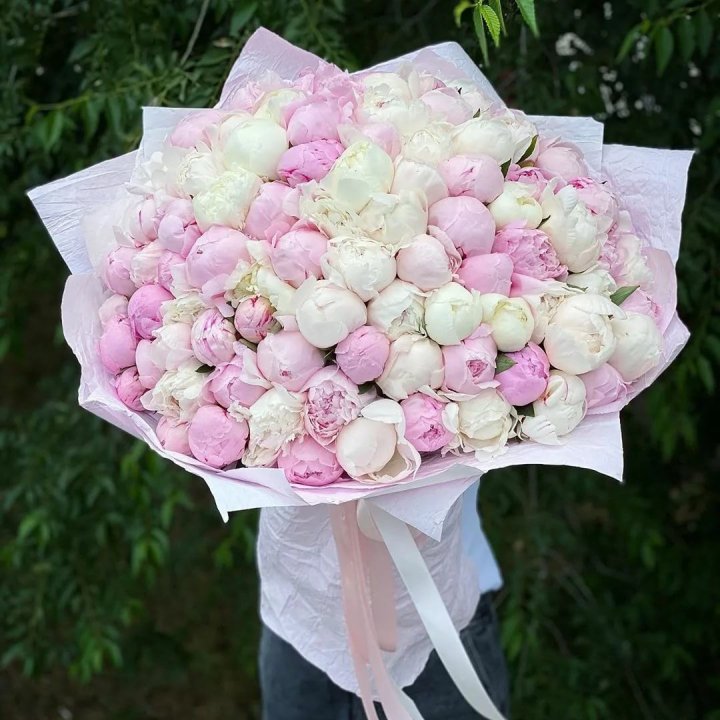 101 пион в Иваново