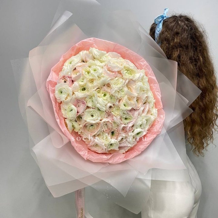 113 ранункулюсов  в Иваново