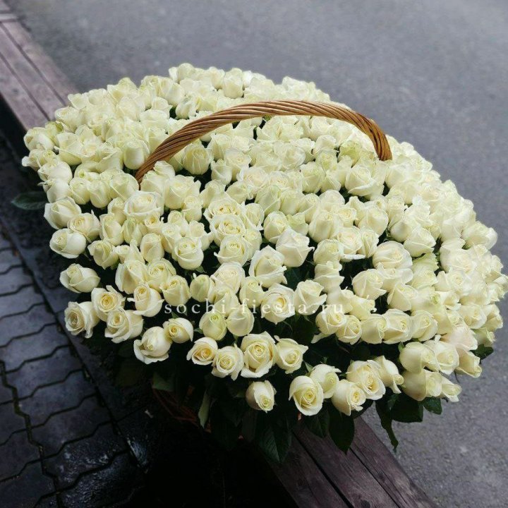 303 розы в корзине в Иваново