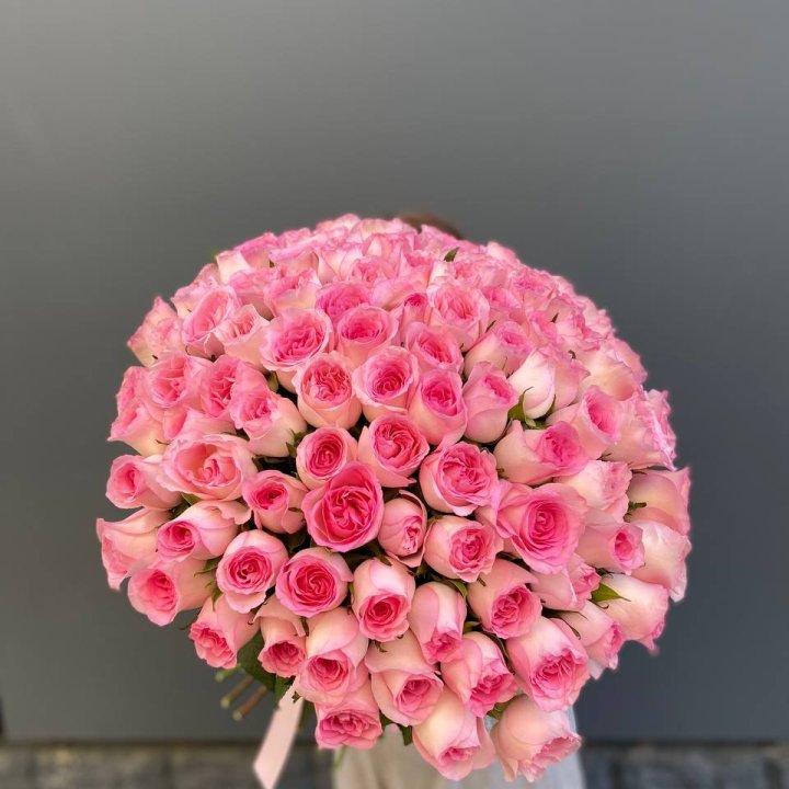 101 розовая роза в Иваново