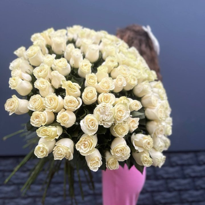 101 белая высокая импортная роза под ленту в Иваново