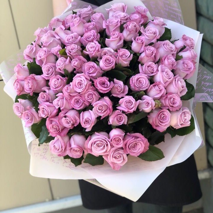 71 розовая роза "Маритим" в Иваново