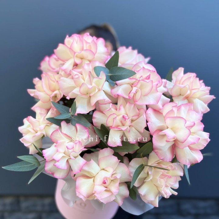 15 Французских роз Джумилия в боксе в Иваново