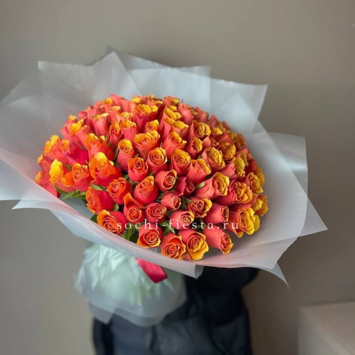 101 кенийская огненная роза  в Иваново