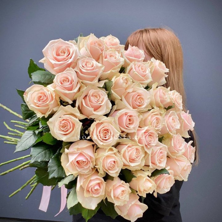 35 кремовых высоких роз в Иваново