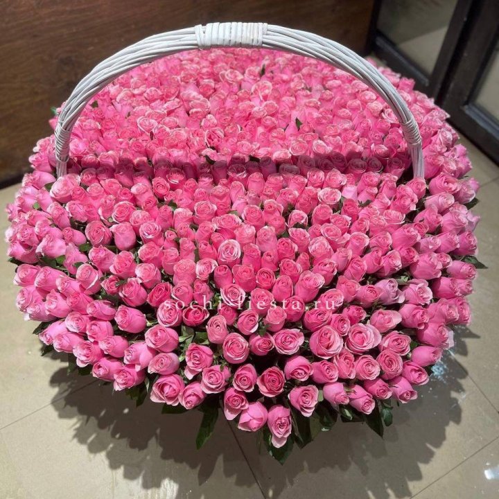 501 розовая роза в Иваново