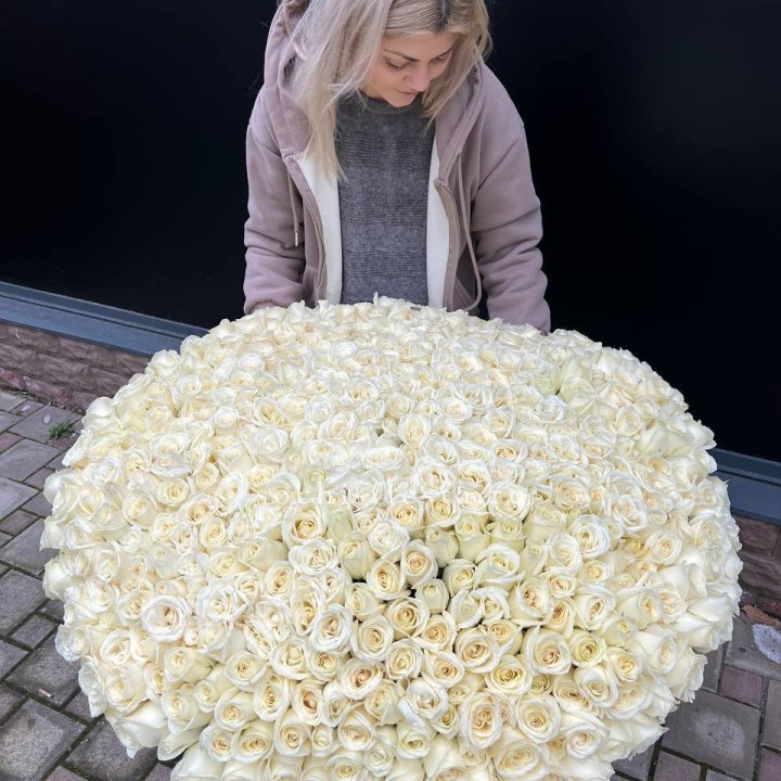 501 белая роза в корзине в Иваново