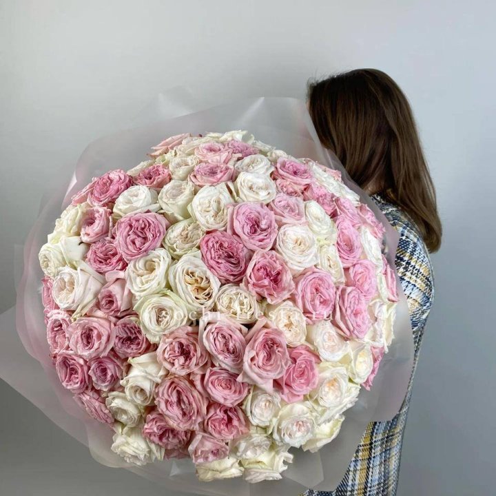 101 роз Охара в Иваново