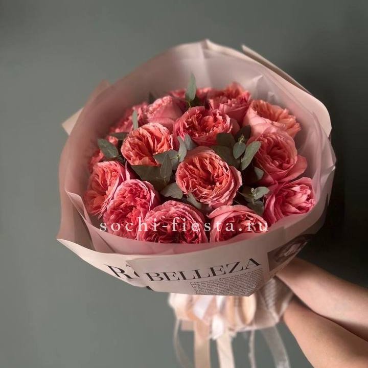 15 Пинк экспрешен в Иваново