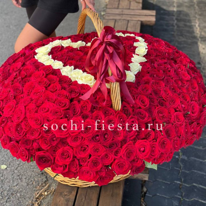 505 роз в Иваново