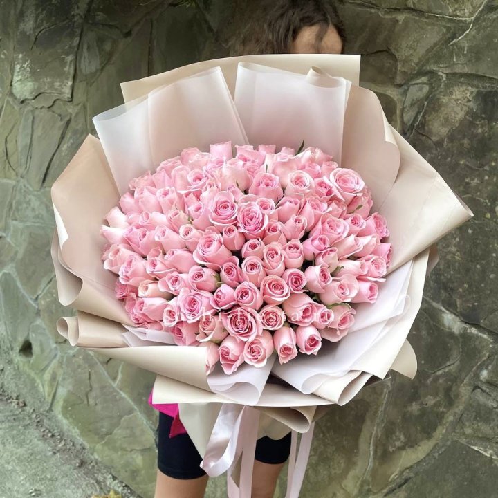 101 нежно-розовая роза Каролина  в Иваново