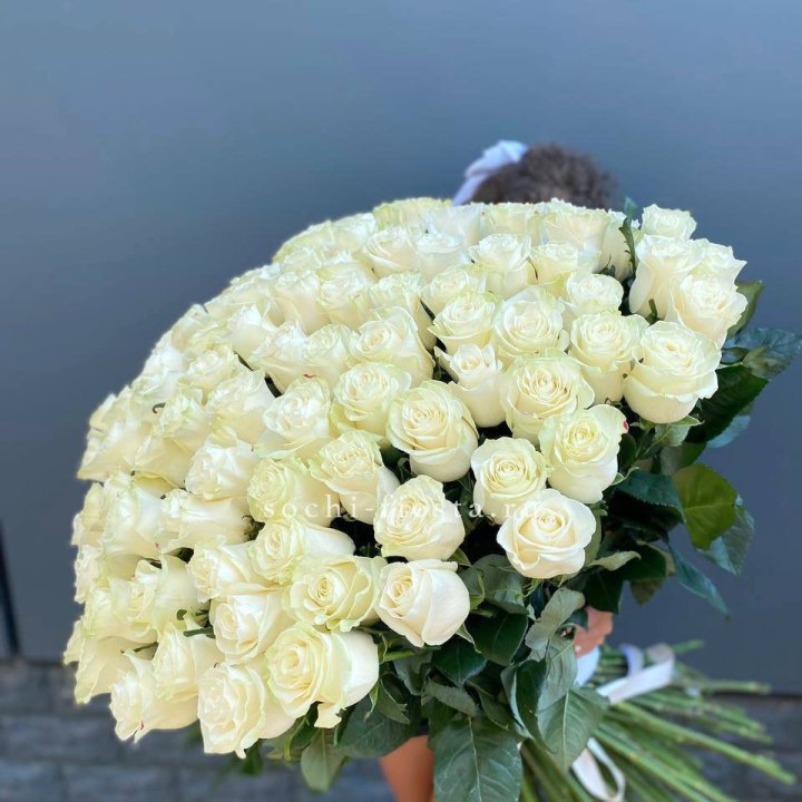 101 белая высокая роза в Иваново