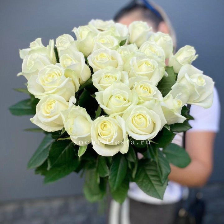 Голландские розы белые 25 в Иваново