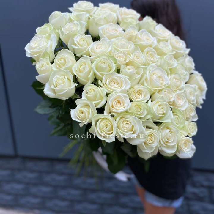 51 белоснежная высокая роза в Иваново