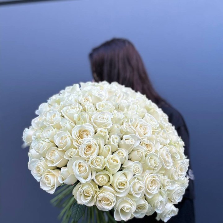 Охапка из 101 белой розы  в Иваново