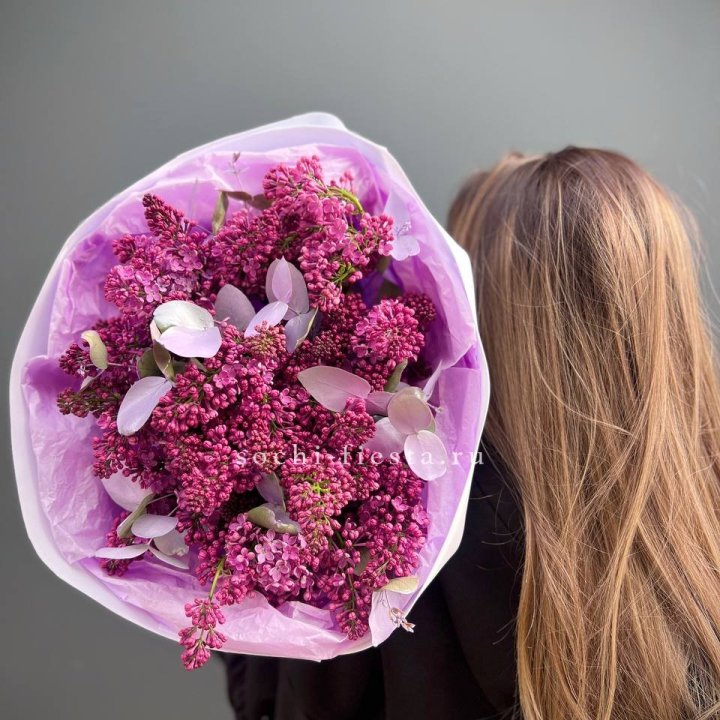 Букет сирени  в Иваново