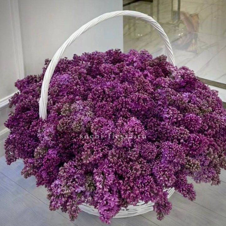 Корзина сирени в Иваново