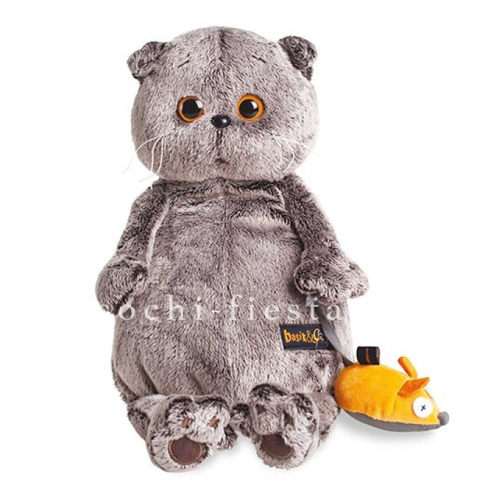 Кот Басик с мышкой в Иваново