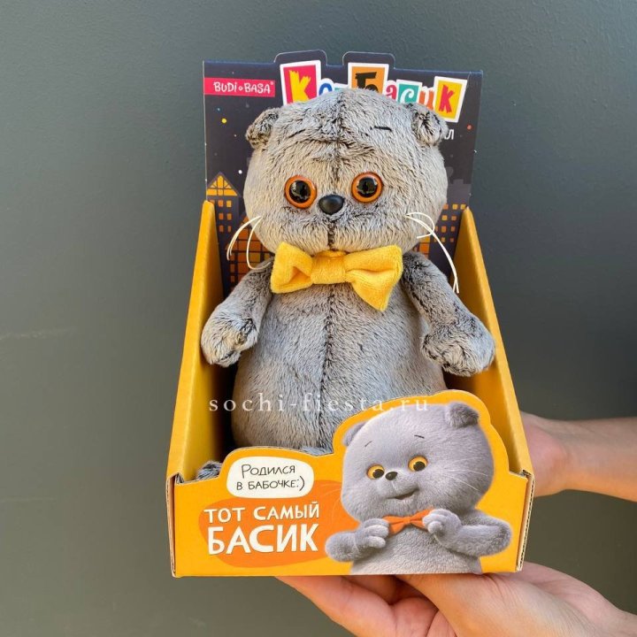 Кот Басик с бабочкой в Иваново