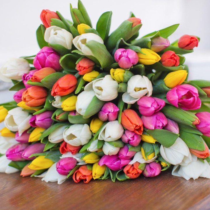 79 тюльпанов "Рандом" в Иваново