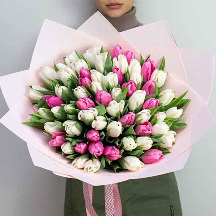 61 бело-розовый тюльпан в Иваново