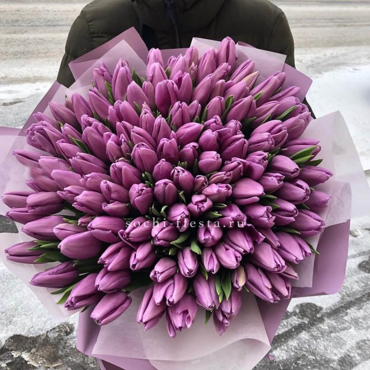 101 сиреневый тюльпан в Иваново