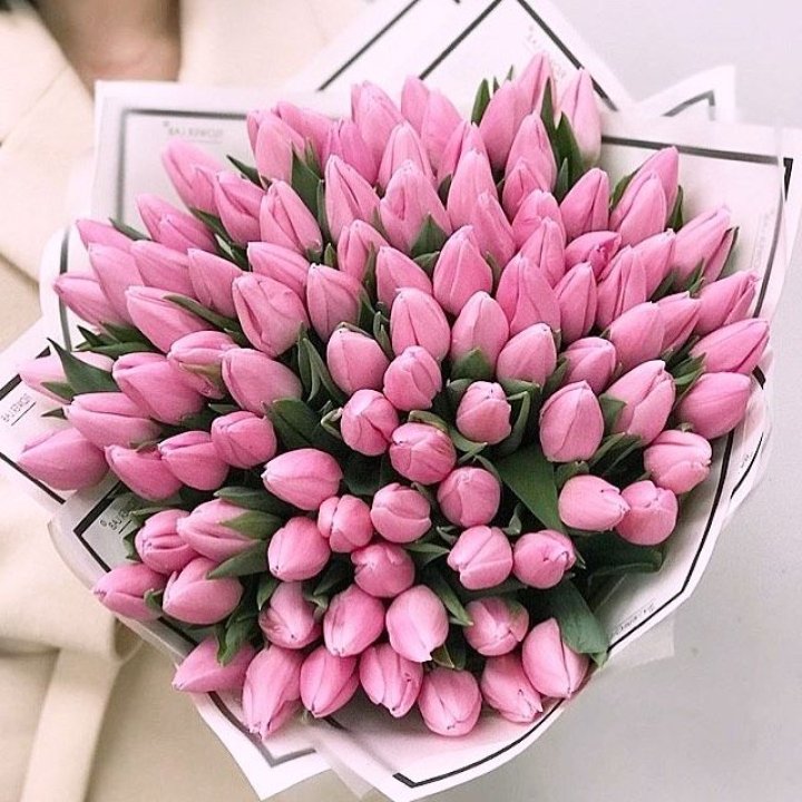 101 розовый тюльпан в белом в Иваново