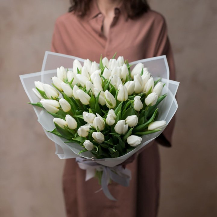 51 белый тюльпан в Иваново