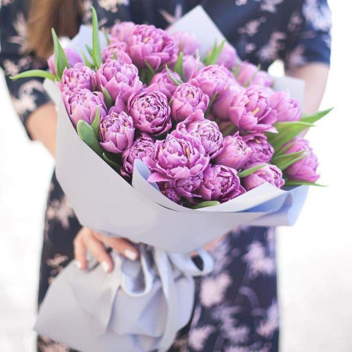 Тюльпаны "Пионс" в Иваново