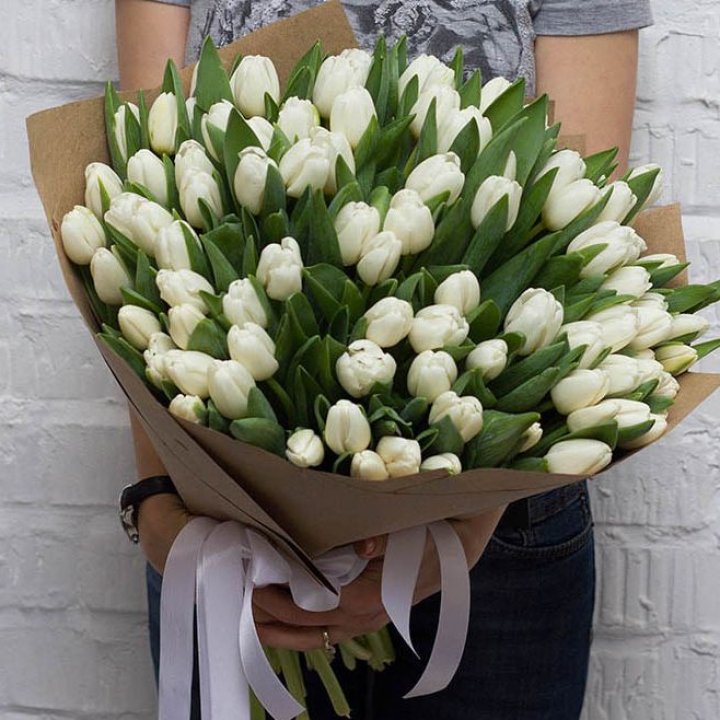 101 тюльпан сноу в Иваново